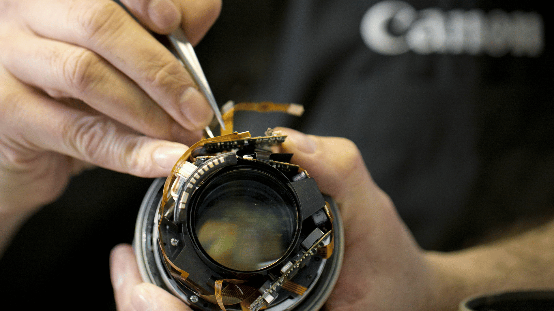 Canon Clean & Check