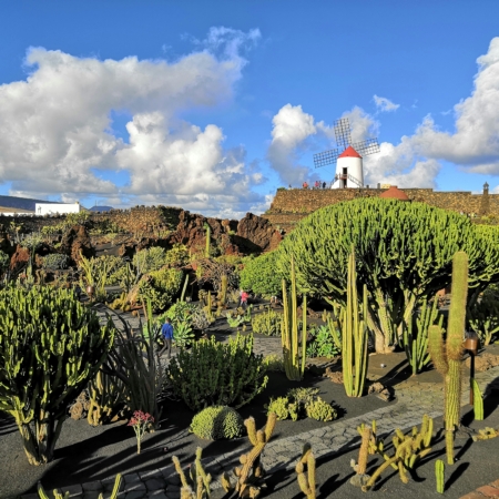 Lanzarote Elopement Workshop