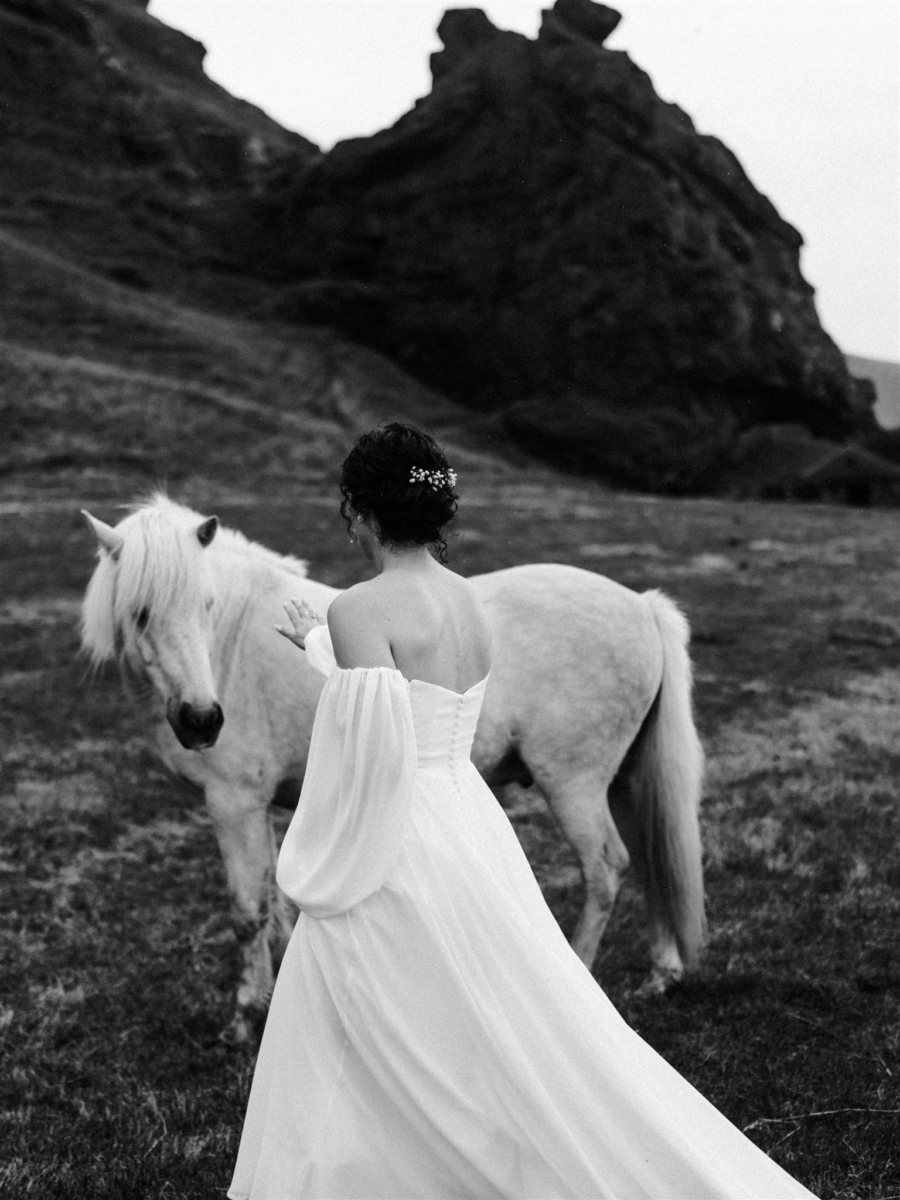 Iceland Workshop
