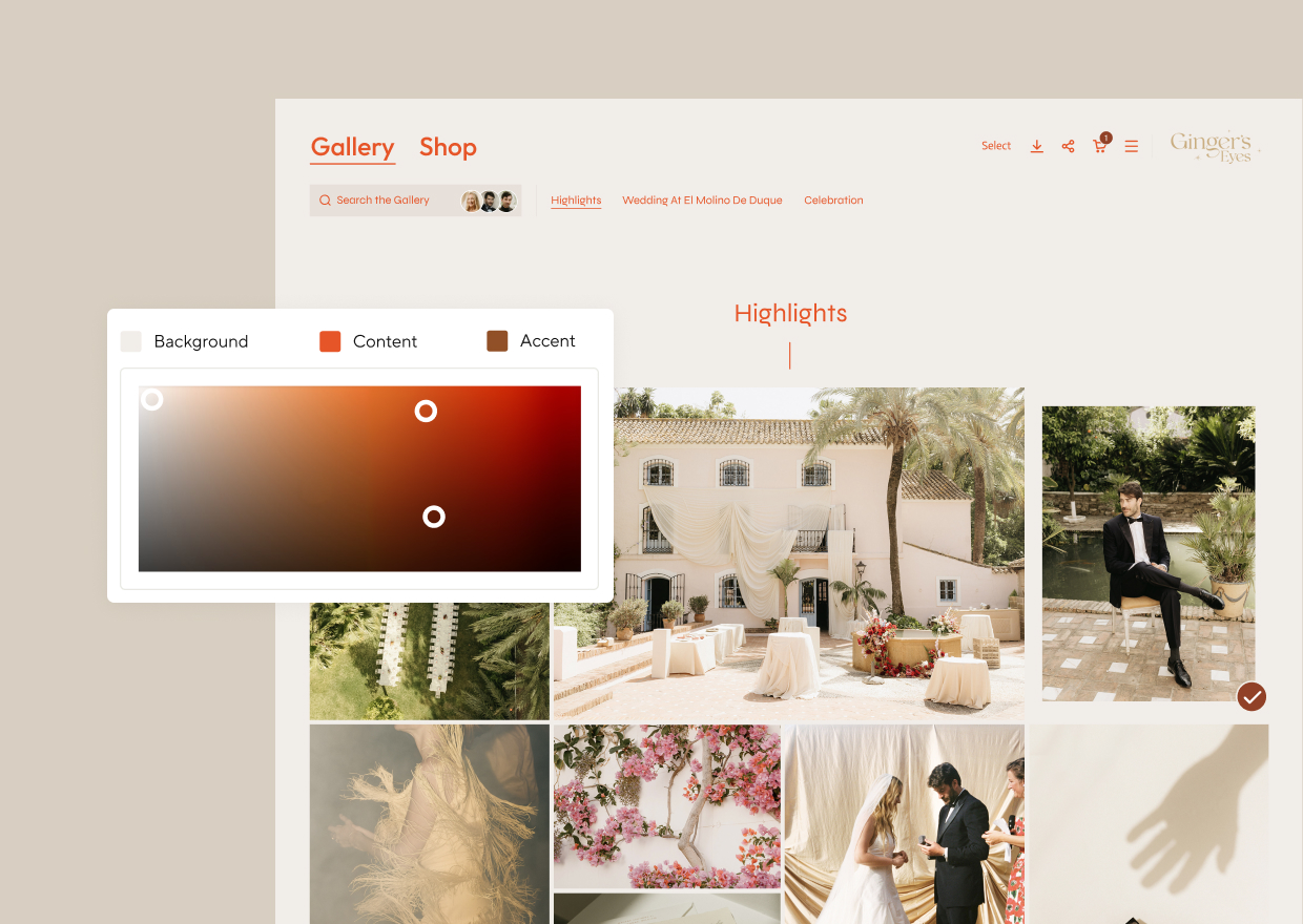 The Pic-Time colour picker with the readable range marked by white dots